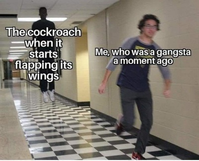 Cockroach vs Ganster a moment ago  CRAMEMS MEMES