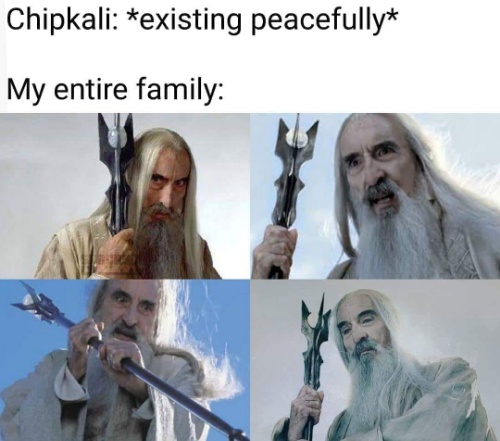 Lizard Vs My Family  CRAMEMS MEMES