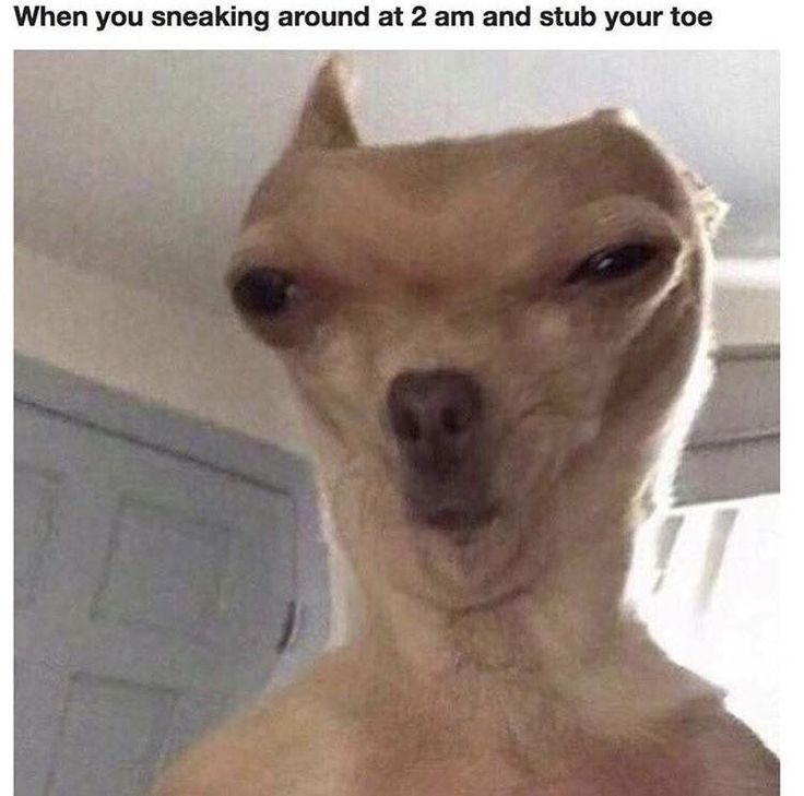 When you sneaking around at 2am  CRAMEMS MEMES