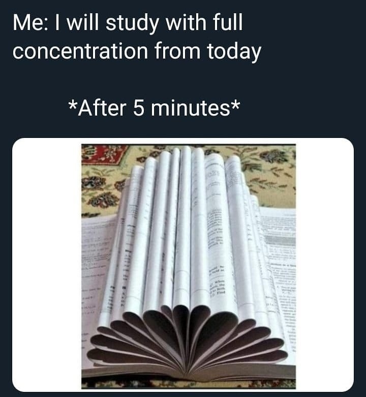 studying with full concentration  CRAMEMS MEMES