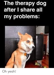 dog memes dog memes are worth reading CRAMEMS MEMES