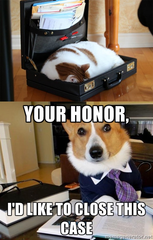 dog memes dog memes are worth reading CRAMEMS MEMES