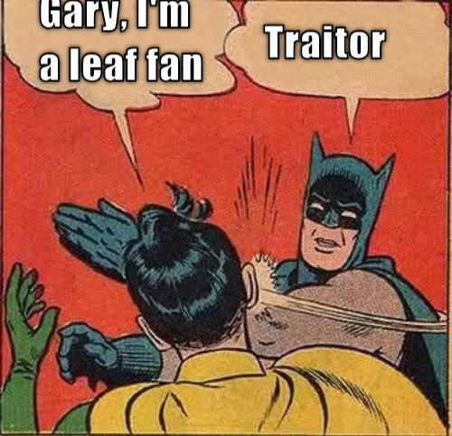 bat hockey CRAMEMS MEMES
