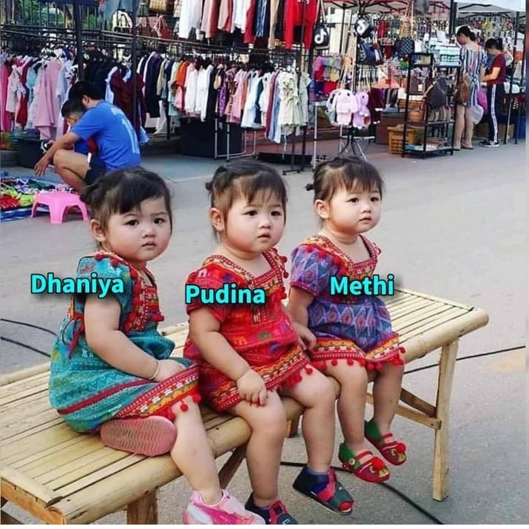 Dhaniya Pudina Methi :D  CRAMEMS MEMES