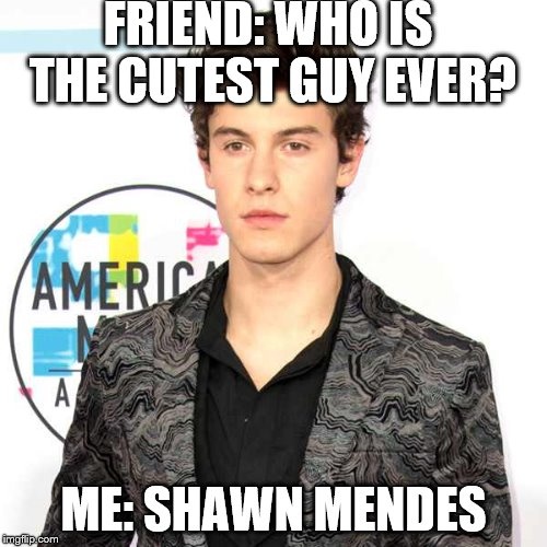 shawn mendes memes shawn mendes memes CRAMEMS MEMES