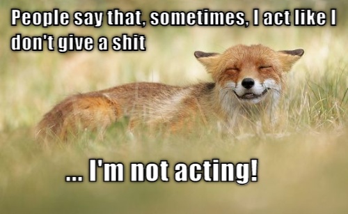 Not giving a sh** Say what you mean, mean what you say CRAMEMS MEMES