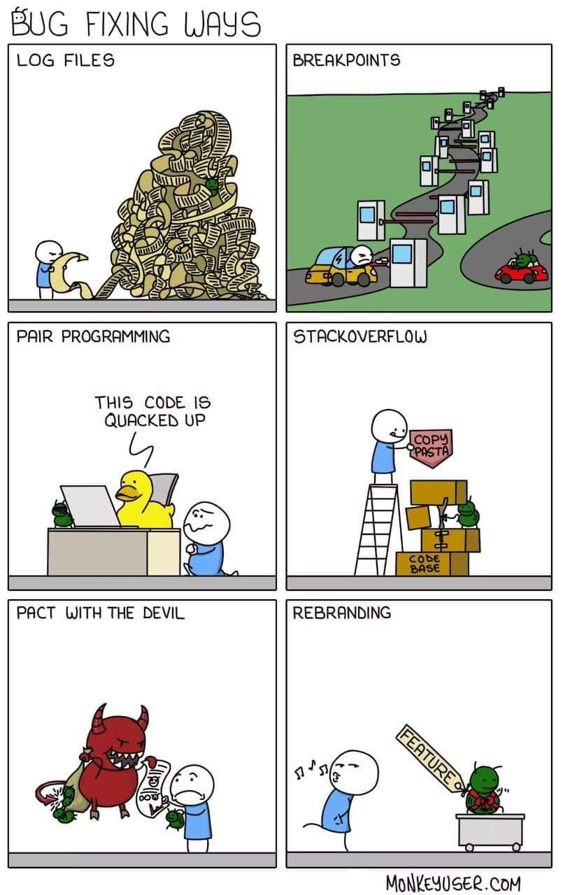 bug fixing ways  CRAMEMS MEMES