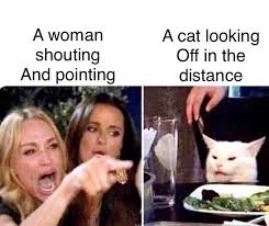 cat memes funny cat memes are so fun to read. CRAMEMS MEMES