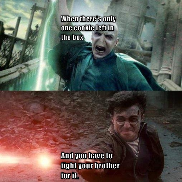 FIGHT FOR THE COOKIES when you fight your brother for the last cookie... CRAMEMS MEMES