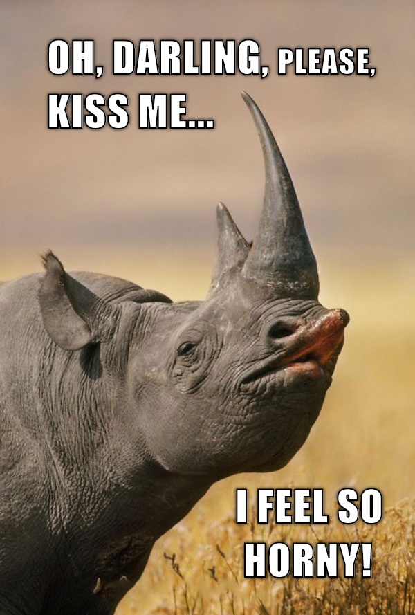 Romance ...like on Lady Gaga's music! CRAMEMS MEMES