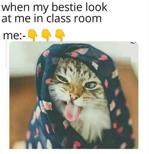 My bestie in classroom  CRAMEMS MEMES