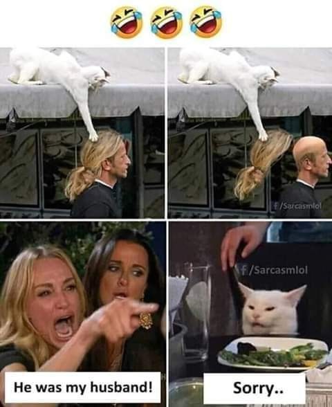 sorry  CRAMEMS MEMES