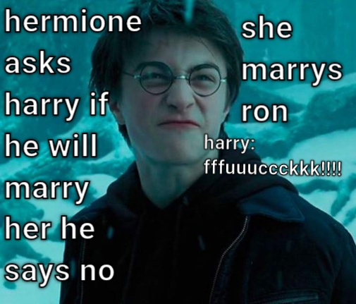 HAARRY POOTTER  CRAMEMS MEMES
