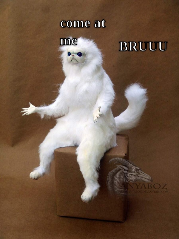 sksksksksksksksksksksksk  CRAMEMS MEMES