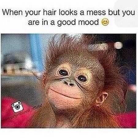 Good Mood! Good Mood! CRAMEMS MEMES