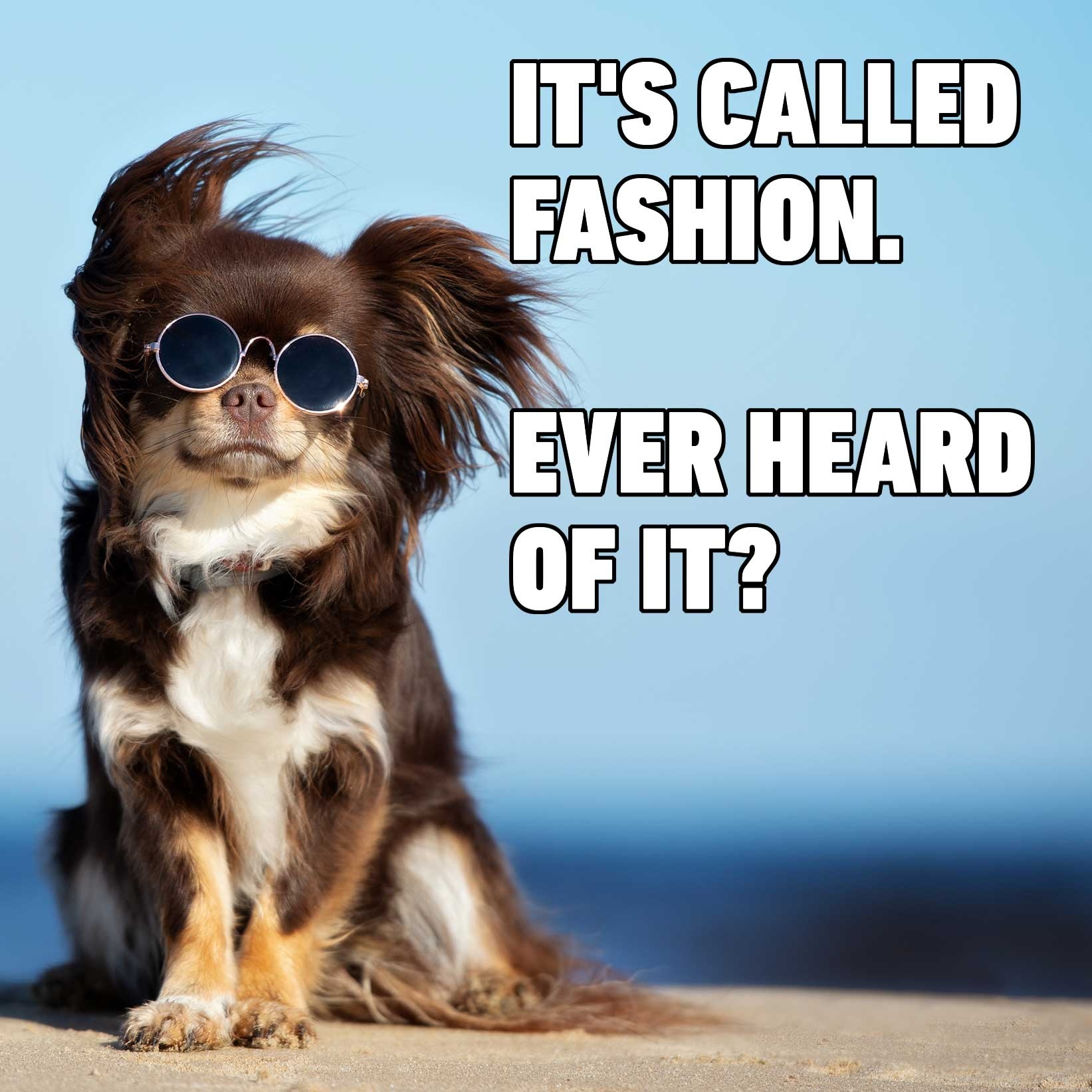 Its called fashion Its called fashion CRAMEMS MEMES