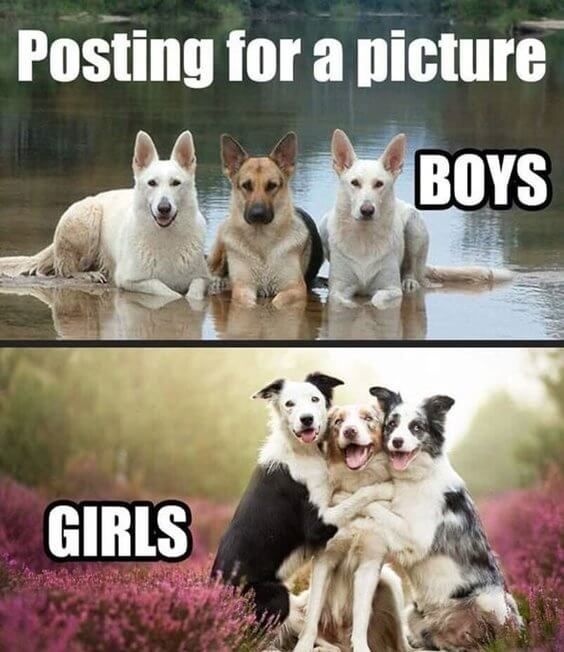 Posting for a picture Posting for a picture CRAMEMS MEMES