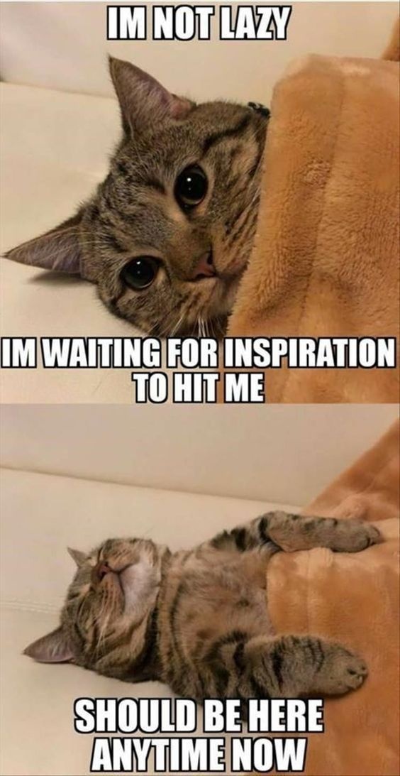 I'm not lazy. I'm not lazy. CRAMEMS MEMES