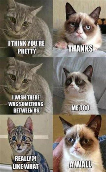 I think you are pretty. I think you are pretty. CRAMEMS MEMES