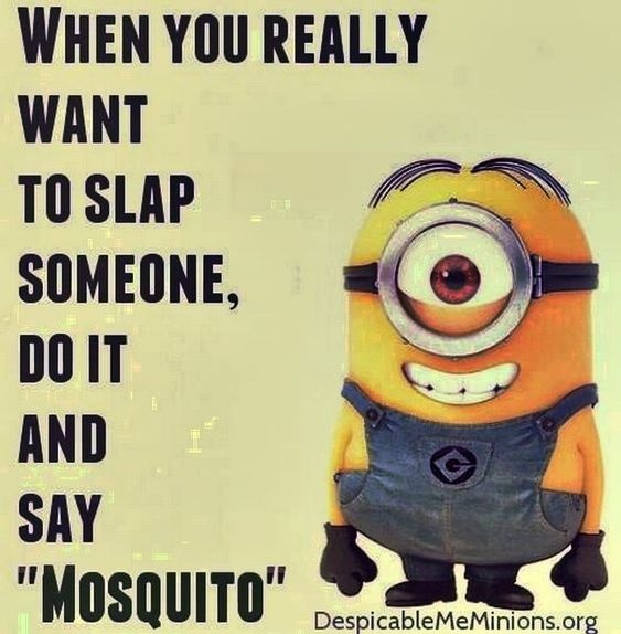 MOSQUITO MOSQUITO CRAMEMS MEMES
