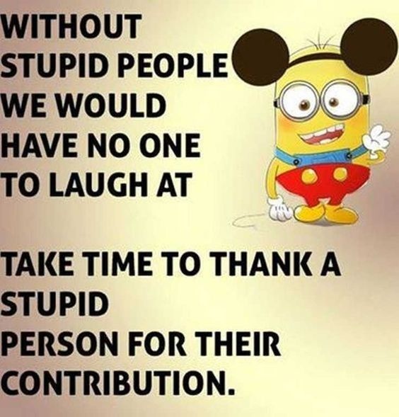 STUPID PERSON STUPID PERSON CRAMEMS MEMES