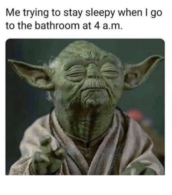 Stay sleepy! Stay sleepy! CRAMEMS MEMES