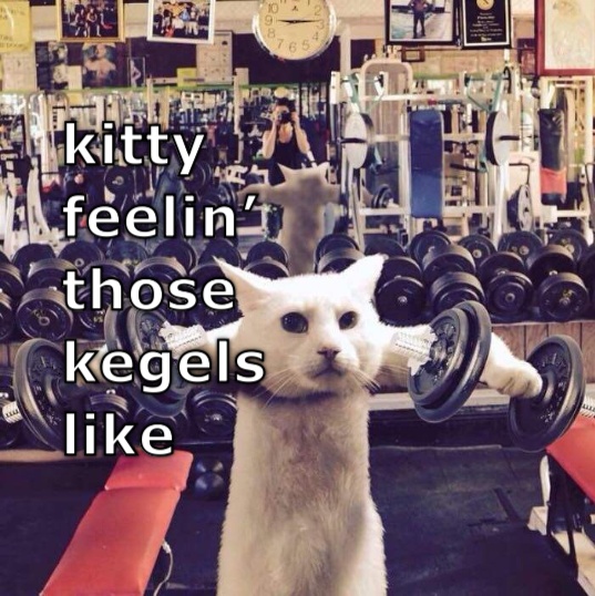 Kitty kegels  CRAMEMS MEMES
