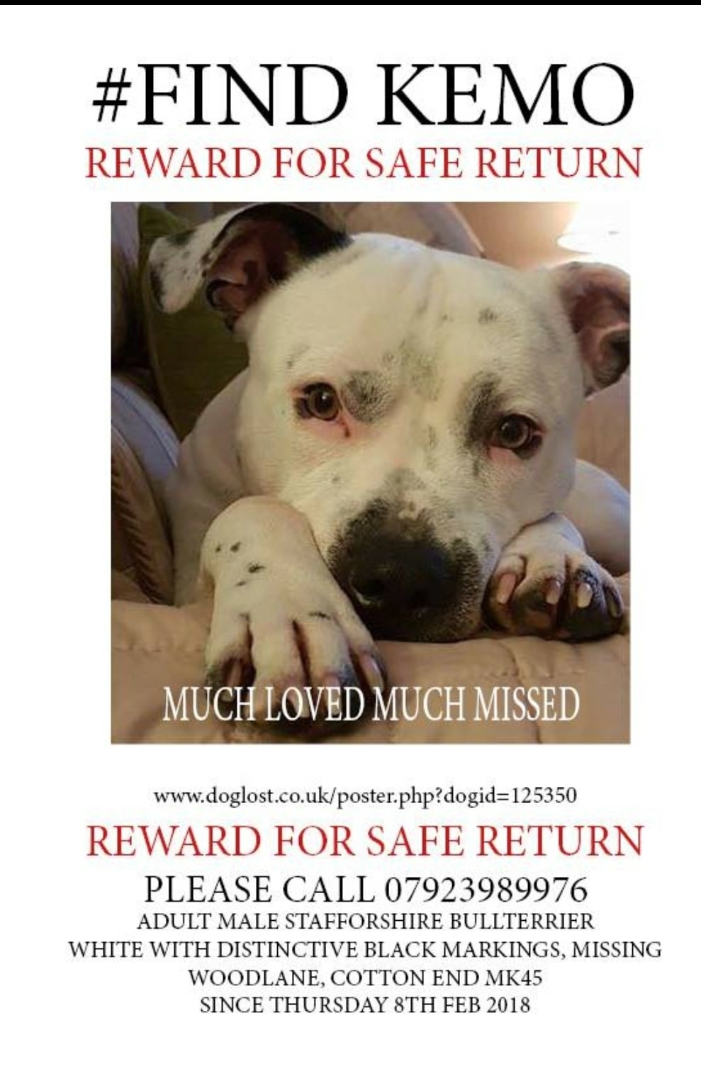 Kemo Stolen Cancer Support Dog CRAMEMS MEMES