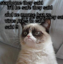 Grumpy stay at home Stayhomesafe CRAMEMS MEMES