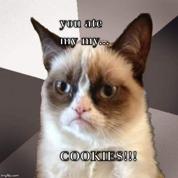 just the beggining a girl named samah wani aka me made this she loves cats more than anything and cookies sike
i like sushi and mochi im 8 years old and my bday is december 2 CRAMEMS MEMES
