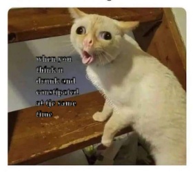 C̥ͦr̥ͦḁͦi̥ͦg̥ͦ C̺͆a̺͆t̺͆ l̺͆i̺͆f̺͆e̺͆ CRAMEMS MEMES