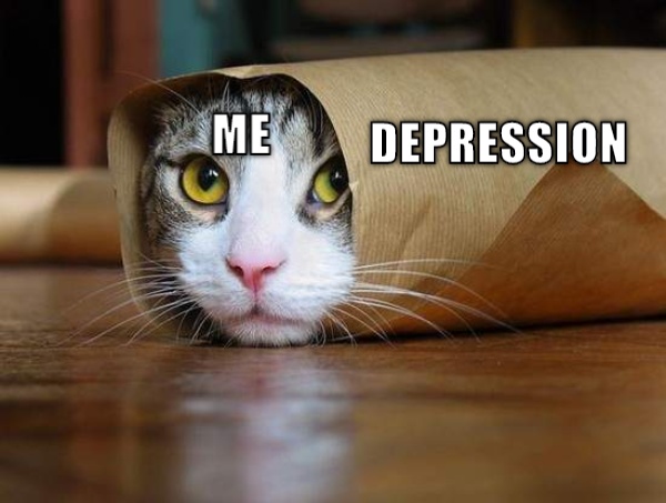 MEME  CRAMEMS MEMES