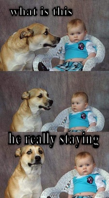 Kids and dogs  CRAMEMS MEMES