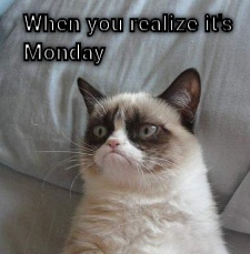 Monday morning  CRAMEMS MEMES