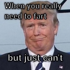The face you make when you just can't  CRAMEMS MEMES