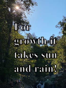 Growth  CRAMEMS MEMES