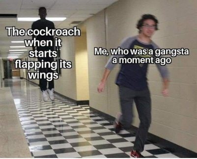 Cockroach vs Ganster a moment ago  CRAMEMS MEMES