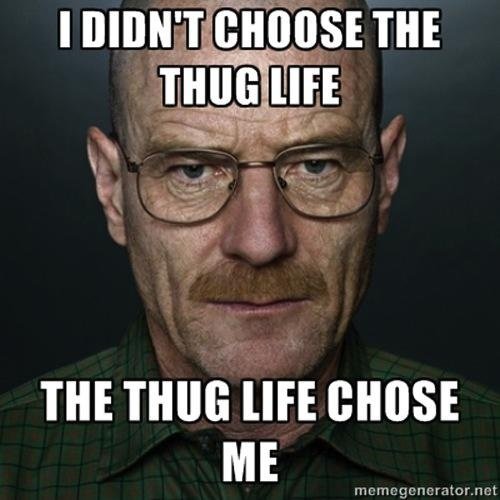 You Don't Choose It, Thug Life Chooses You  CRAMEMS MEMES