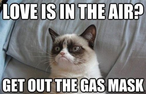 Grumpy Cat Memes grumpy cat is famous for its expressions. CRAMEMS MEMES