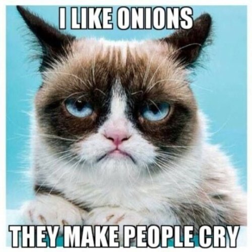 Grumpy Cat Memes grumpy cat is famous for its expressions. CRAMEMS MEMES