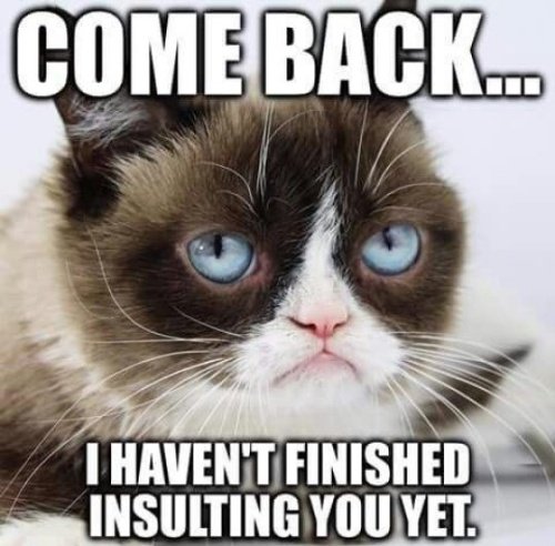 Grumpy Cat Memes grumpy cat is famous for its expressions. CRAMEMS MEMES