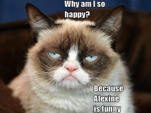 Cat happy CRAMEMS MEMES