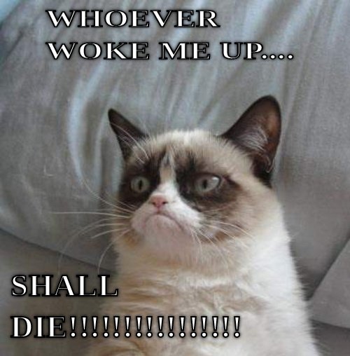 Don't Wake Me Up!!!!!!!!!!!!!!!!  CRAMEMS MEMES