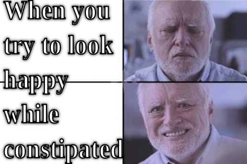When You Try To Look Happy While Constpated  CRAMEMS MEMES