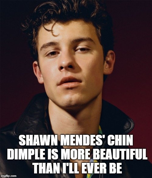 Shawn Mendes Memes shawn mendes memes CRAMEMS MEMES