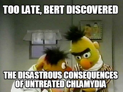 Bert And Ernie Memes bert and ernie memes CRAMEMS MEMES