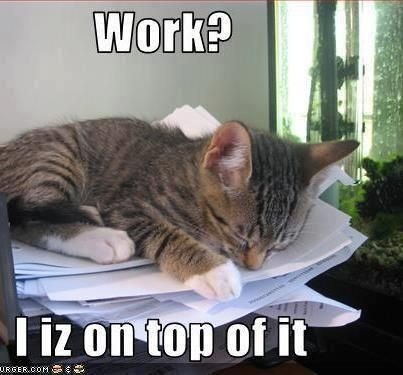 Ceiling Cat Memes ceiling cat memes are so fun to read. CRAMEMS MEMES