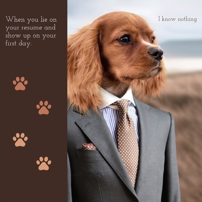 Doggo Memes doggo memes are best to read CRAMEMS MEMES