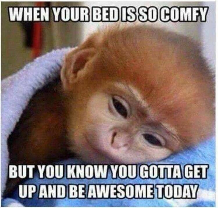 Be Awesome Today Be awesome today CRAMEMS MEMES