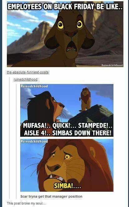 Lion Memes lion memes CRAMEMS MEMES